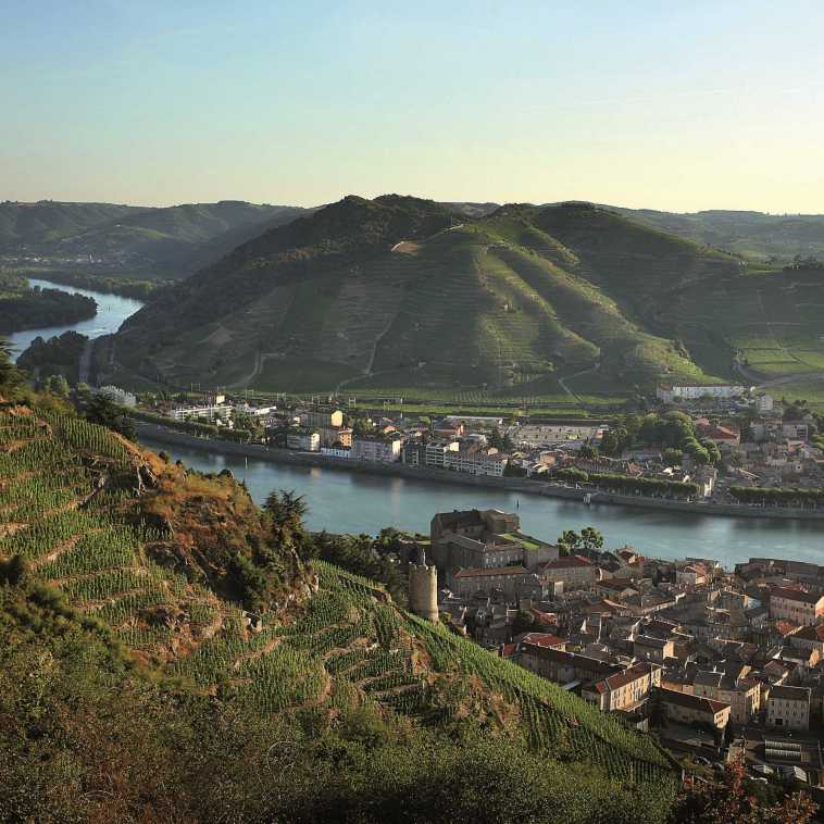 Spectaculaire coteau de l'Hermitage, vue de Saint-Joseph.jpg