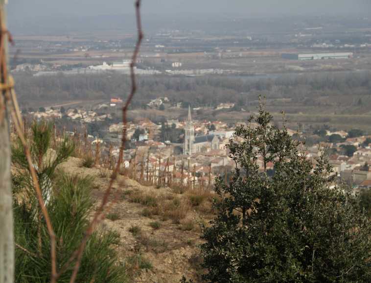 Cornas, le village au pied des vignes.jpg